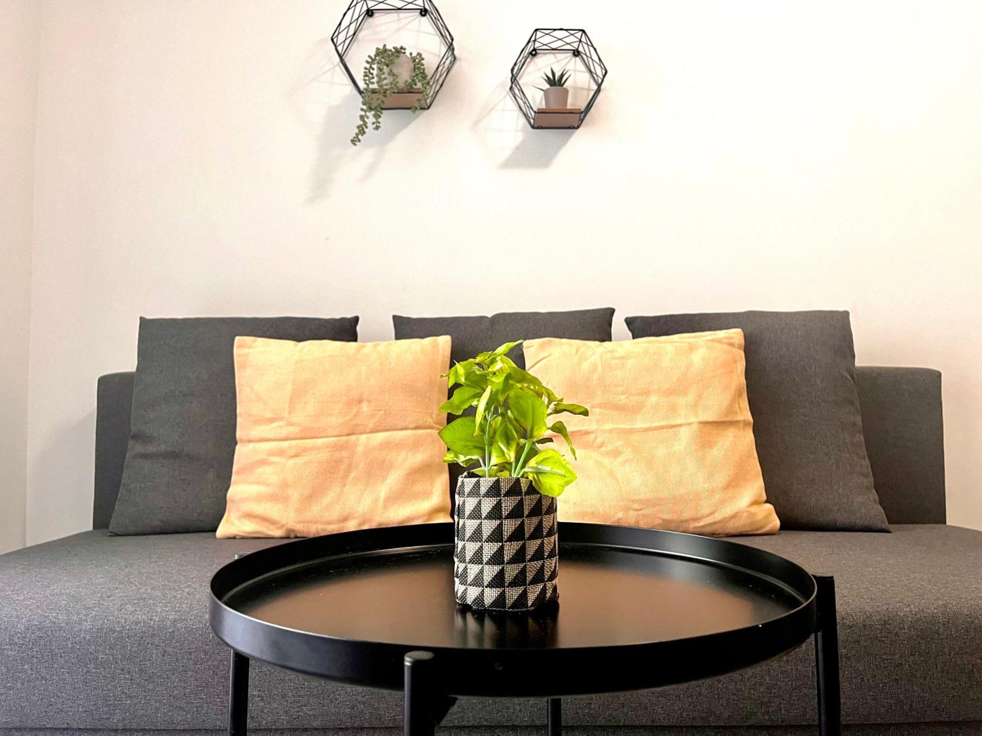 Elvita Apartments 4 雅典 外观 照片